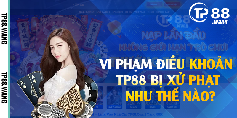 Vi phạm điều khoản tp88 bị xử phạt như thế nào?